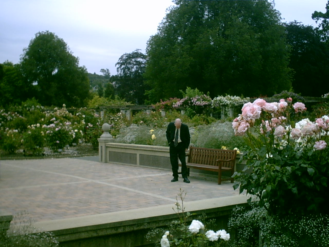 Kiesanowski and Kerdemelidis wedding trip/3_Garden_Photos/IMG00009.JPG